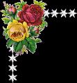fleurs et nature (15)